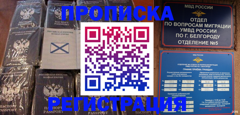 прописка гарантия в Нижегородской области